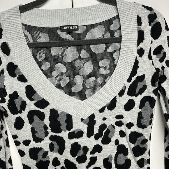 Express  Leopard Print  Sweater - Picture 7 of 11